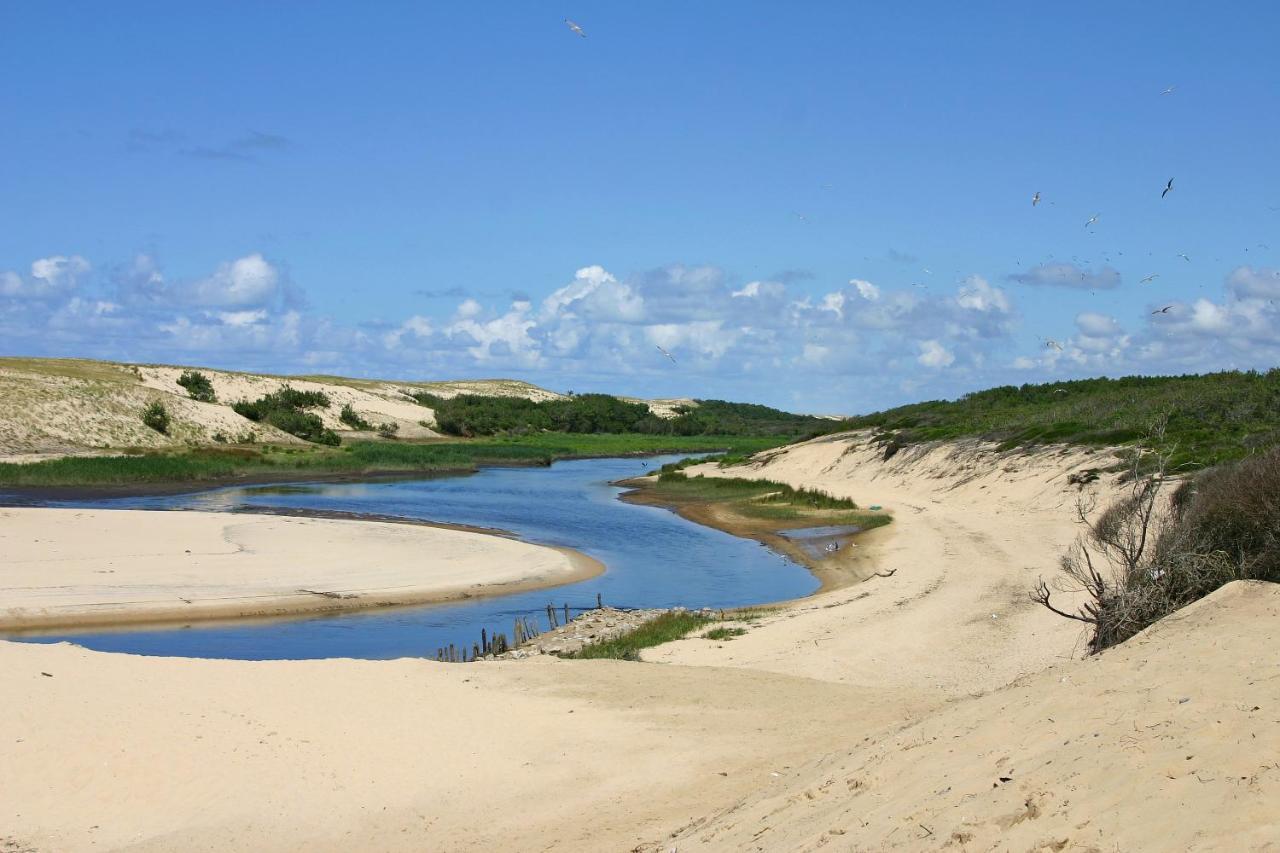 L'Appart Vue Golf Piscines Nature Ocean A Moliets Lägenhet Exteriör bild